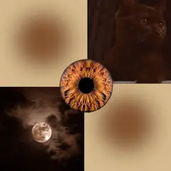 hazel and brown eyes