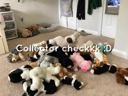 Collector checkk