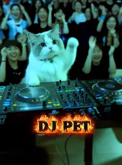 Dj pet