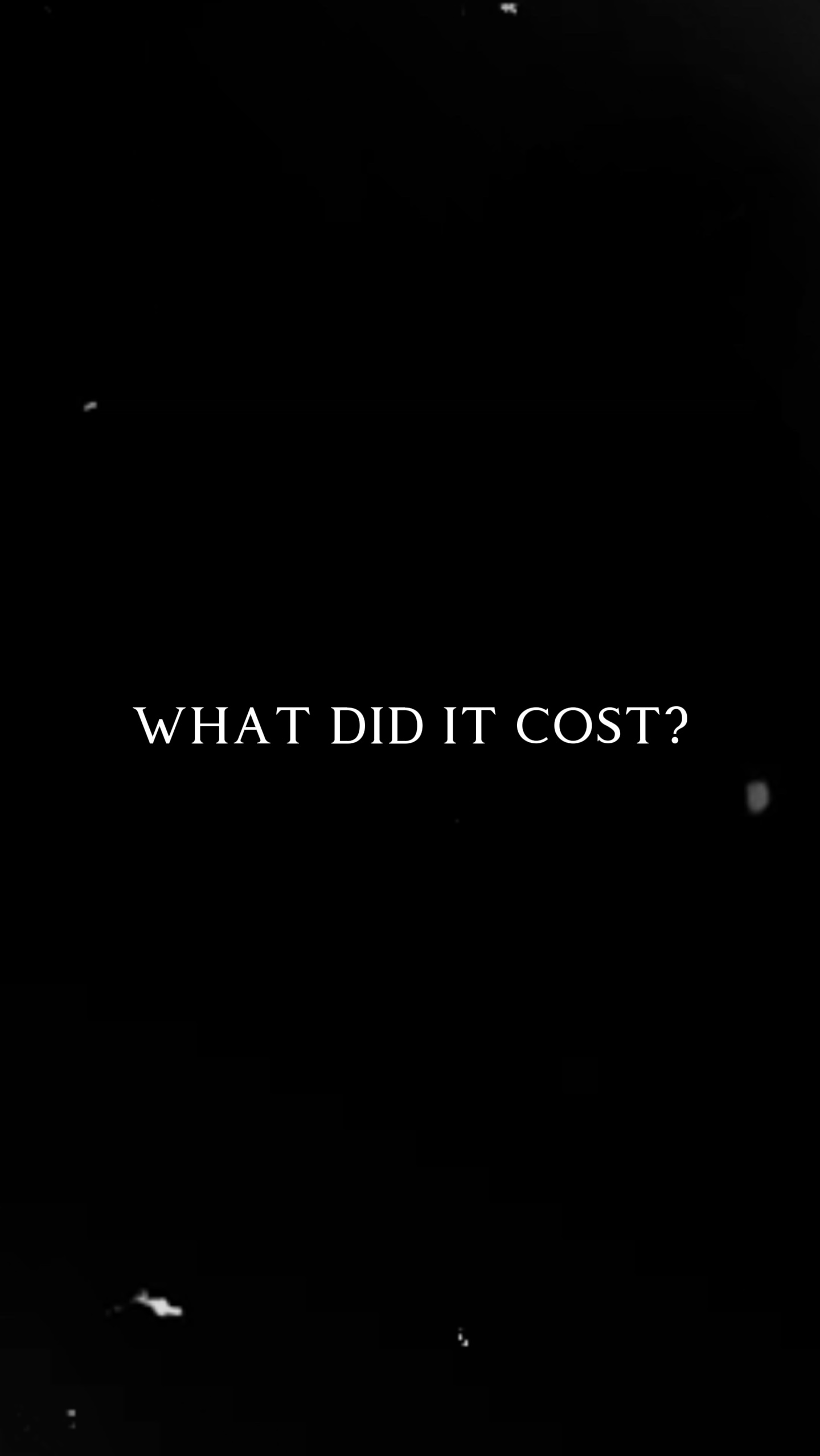 what did it cost?