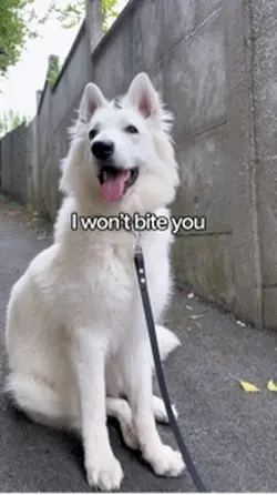 I won’t bite you!