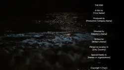 THE END CREDITS FILM
