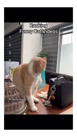 trending template 