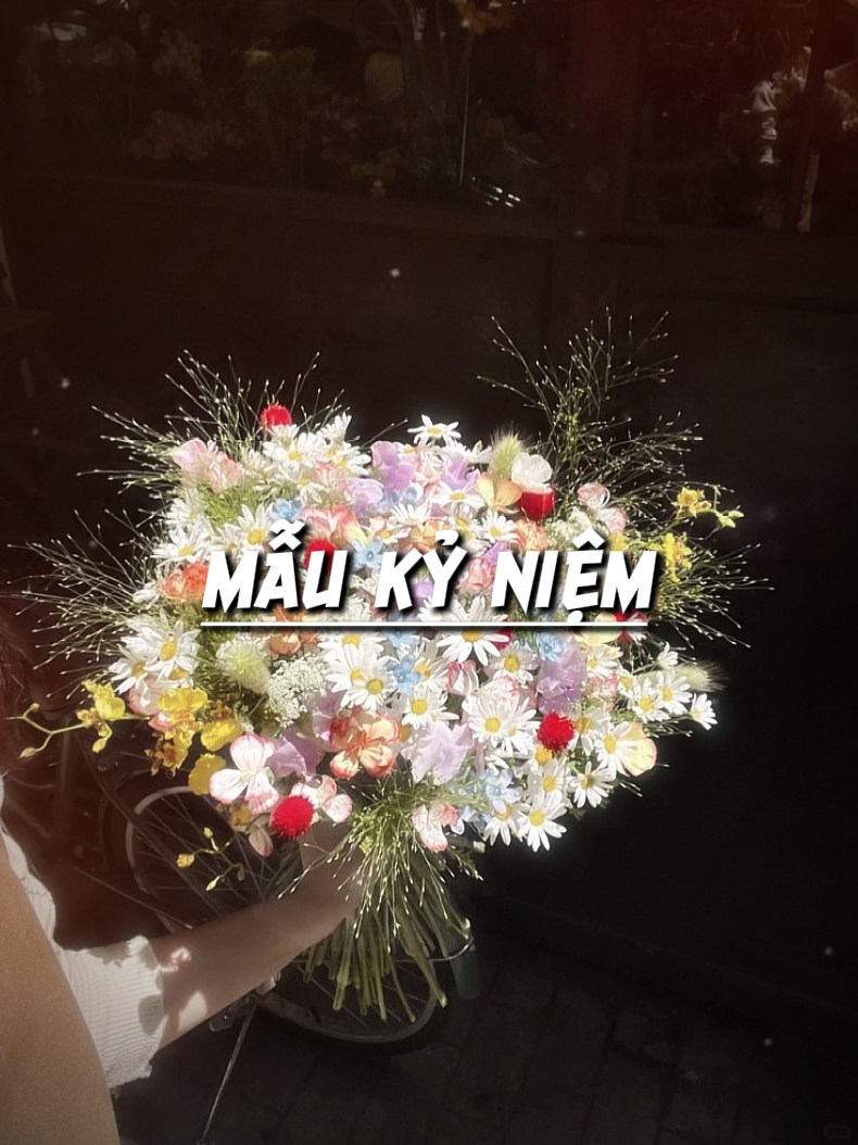 MẪU NHIỀU ẢNH 