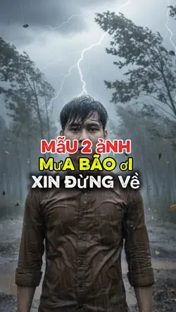 Mẫu 2 ảnh