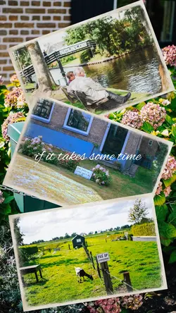 ヴィンテージアルバム効果！