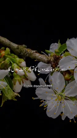 پیر اجمل رضا قادری 