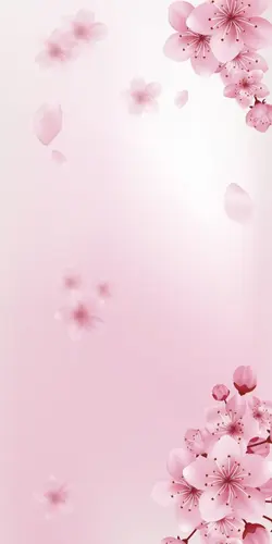 ซากุระ