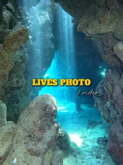 lives photo
