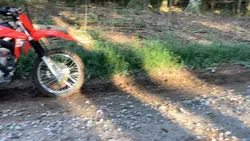 Honda and kalasiki 