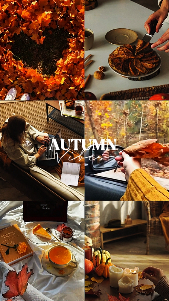 AUTOMNE Vibes Vlog 