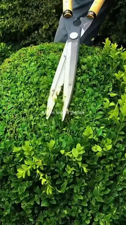 Gardening