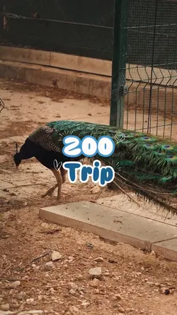 Zoo trip