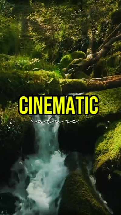 NATURALEZA CINEMÁTICA 