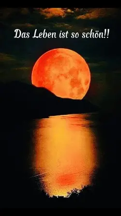 Das Leben ist schön 