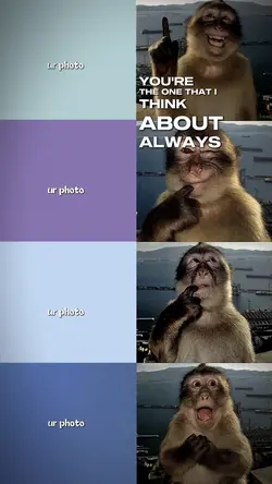 Poto with monkey
