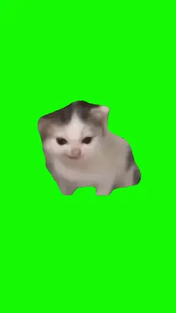 GERMAN CAT