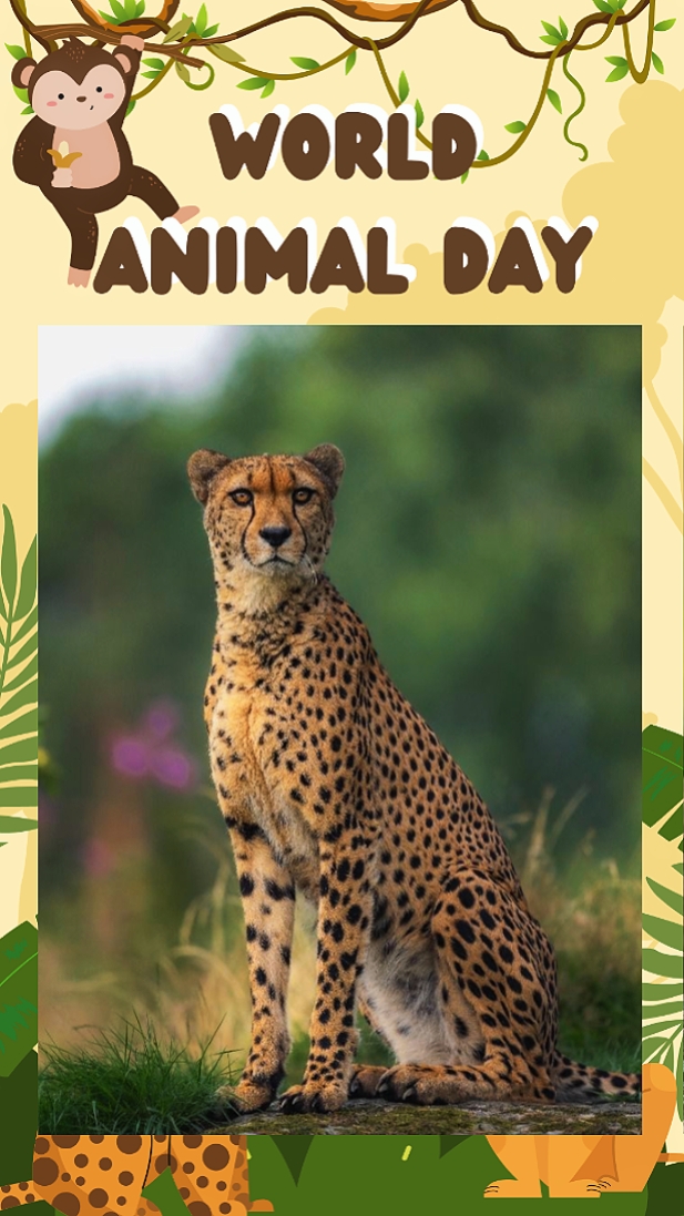 Día Mundial de los Animales