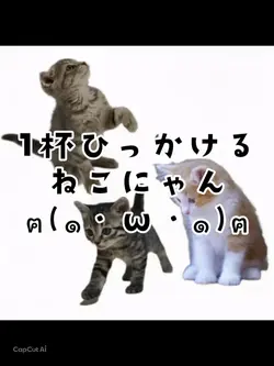 1杯ひっかける
ねこにゃん
ฅ(๑・ω・