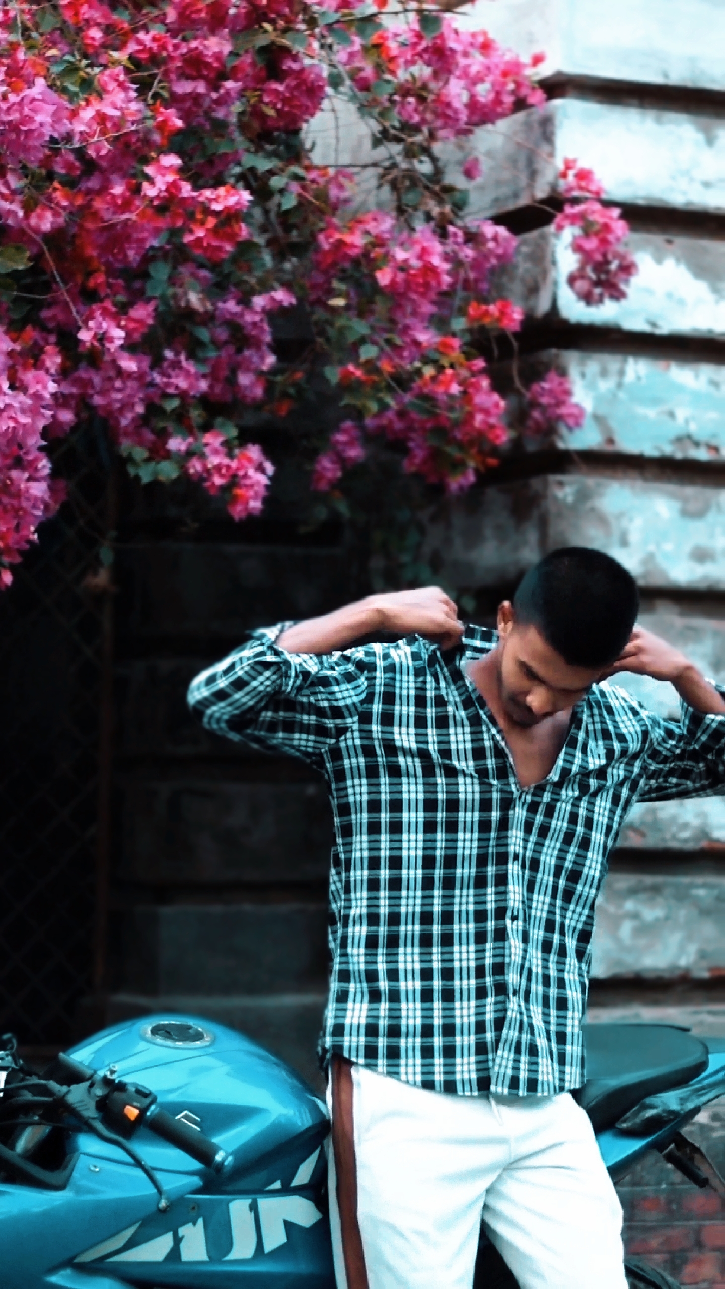 Cover Picture