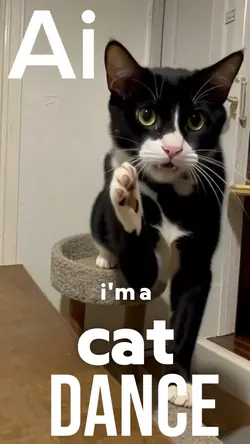AI IM A CAT DANCE