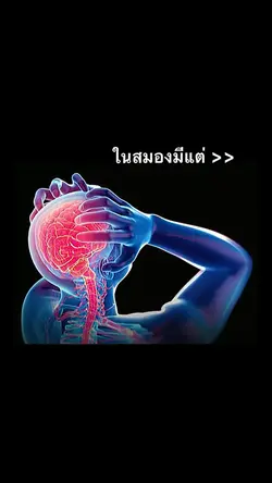 ในสมองมีแต่ >> 