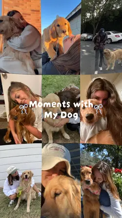 Moments with my dogs