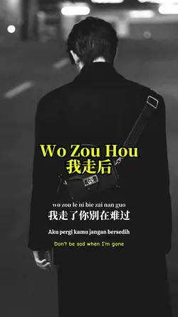 Wo Zou Hou