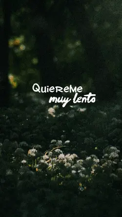 quiereme bonito