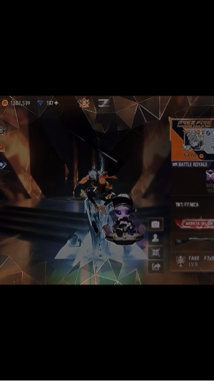Cover Picture
