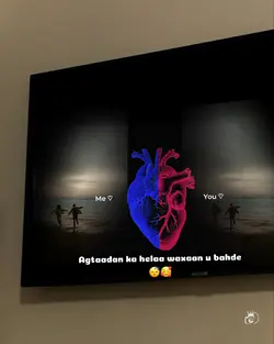 Saan iidaaweé