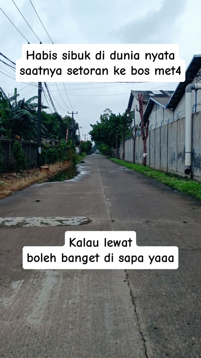Konten fbpro