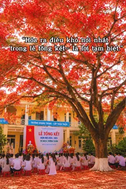 Ngày này cũng đến...