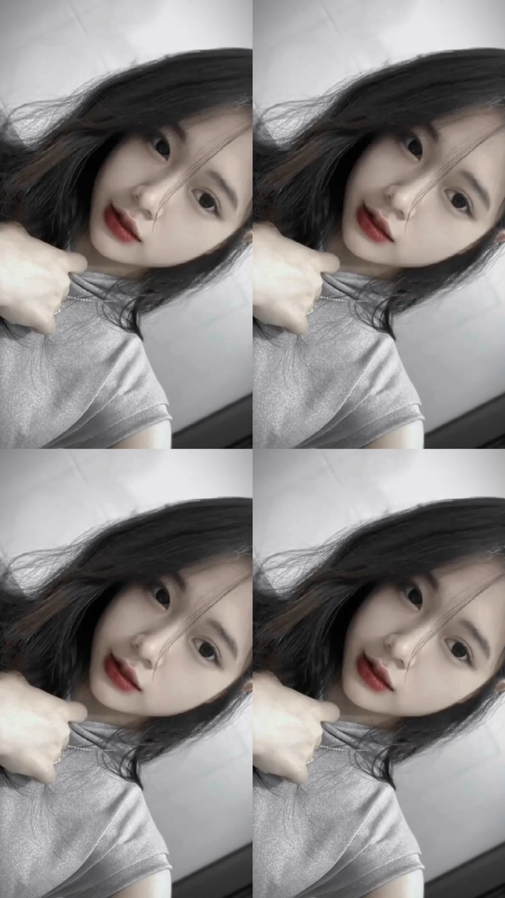 màu cinh qoãi