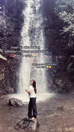 nomirror 