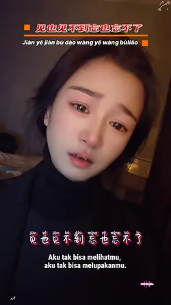 见也见不到忘也忘不了