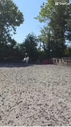Went bareback tdyyyy