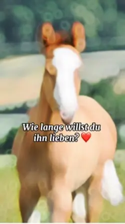 Pferde für immer