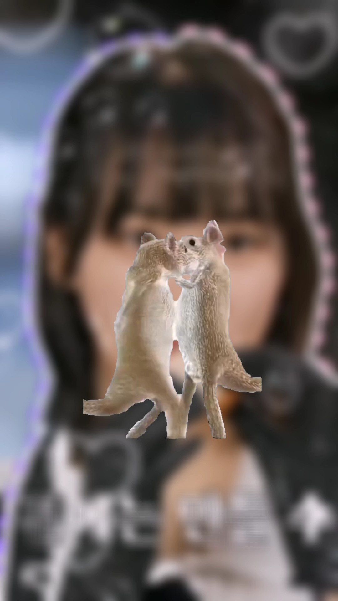 jijiji las ratitas >