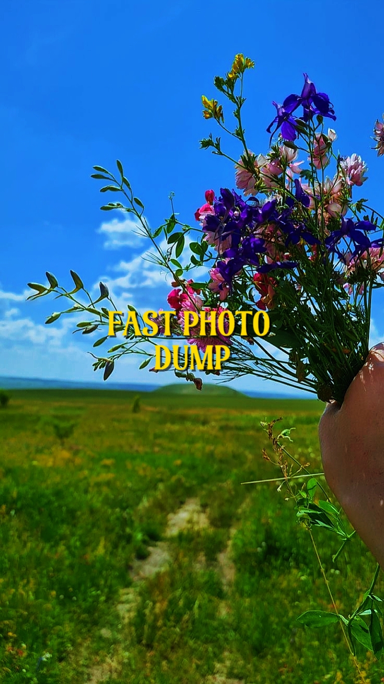 Volcado rápido de fotos
