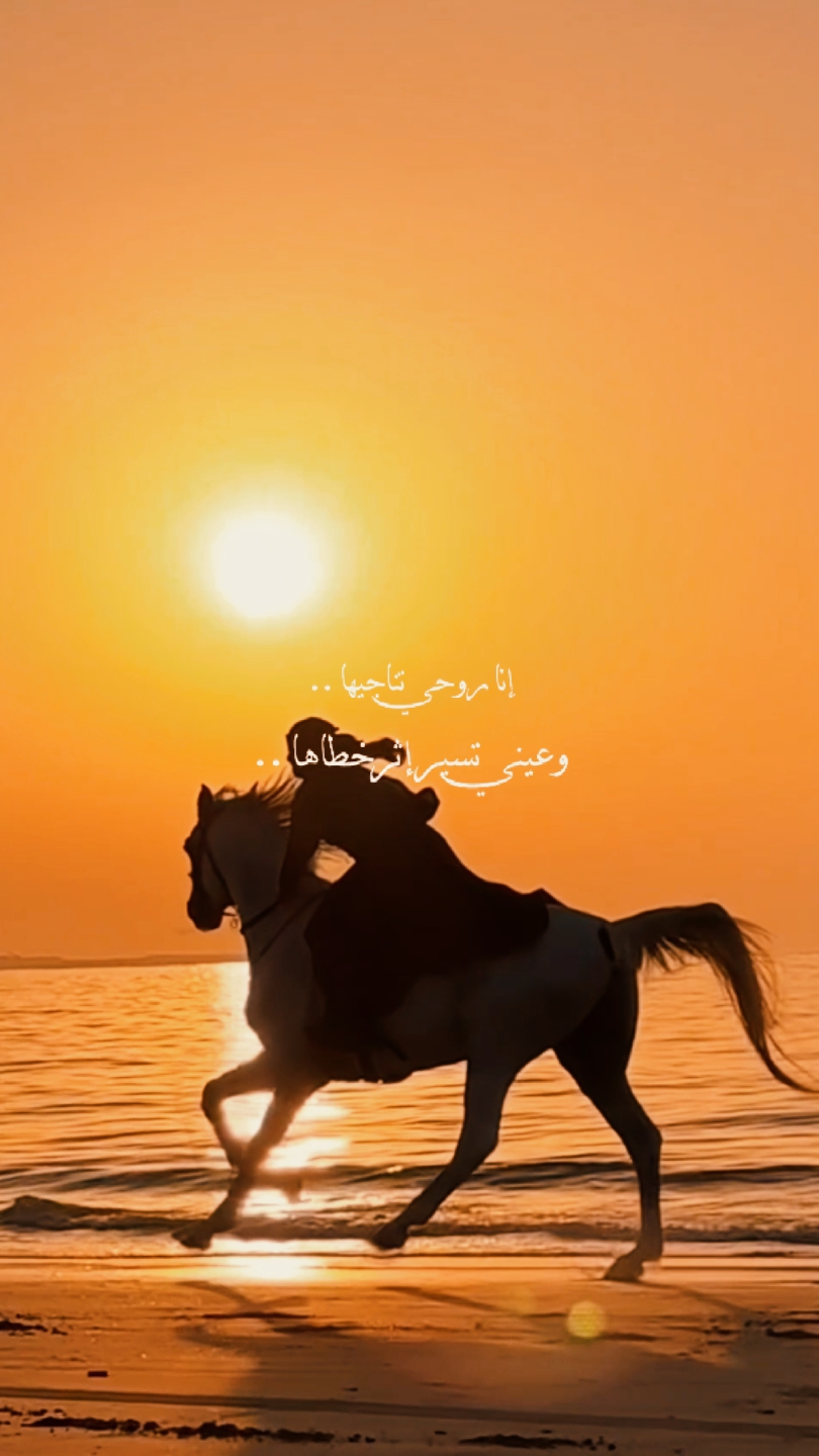 wildflwr x inna ruhi