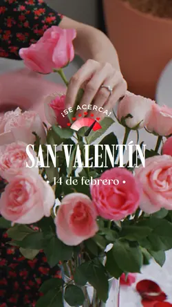 14 de febrero flores