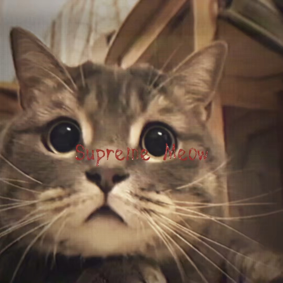 Supreme Meow