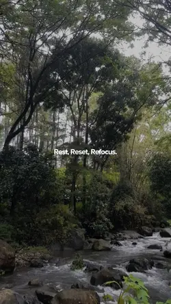 rest, reset, refocus