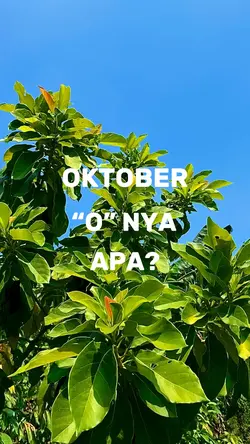 Oktober O nya apa?