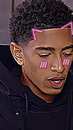 Bellingham Miau Miau