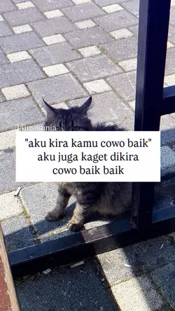 DIKIRA COWO BAIK