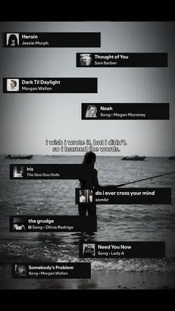 i learned the words.