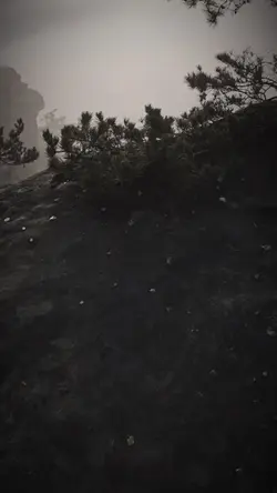 Filter effect