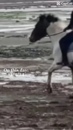 LOVED BERTIE🤍💗-J